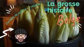 Comment forcer les racines de chicons Endives [upl. by Ardnahsal595]