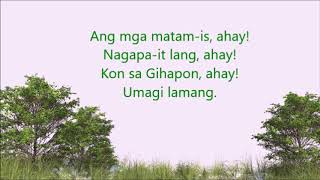 Ilonggo Songs medley Dalawida etc [upl. by Airreis]