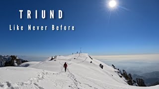 Triund Trek in January 2023  Triund Trek Mcleodganj Himachal Pradesh  Trippy Buddy [upl. by Ellenid]