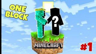 MINECRAFT ONE BLOCK SURVIVAL SERIESE PART 1 WITH MY NEW FRIEND 😍 minecraft oneblock [upl. by Rentschler721]