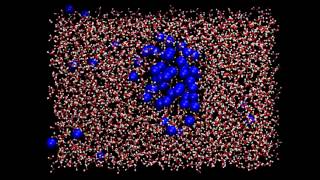 Molecular dynamics Hydrophobic effect [upl. by Amapuna771]