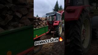 Binderberger Wippsäge mit Förderband 🔥  brennholz machen shorts [upl. by Halyahs]