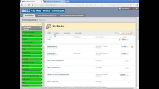 Student My Grades Display  Blackboard 91 SP14 [upl. by Aisena]