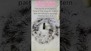 Circular Magnet Magnetic Field  shorts [upl. by Kuo977]