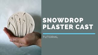 Snowdrop plaster cast  Botanical bas relief tutorial [upl. by Alekal448]