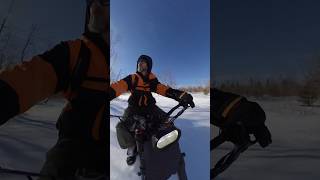 How I shred the east coast woods talaria talariasting snowboarding [upl. by Araccat]