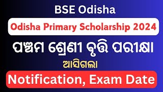 Odisha Primary Scholarship Exam 2024  Odisha 5th Class Bruti Exam 2024 [upl. by Hillier38]