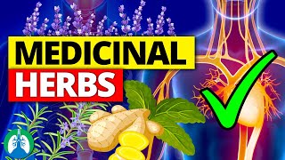 🌱Top 10 Most POWERFUL Medicinal Herbs Backed by Science [upl. by Aenal]