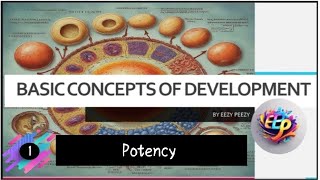 POTENCY  Basic concepts of developmental biology Developmental biology [upl. by Akerdal]