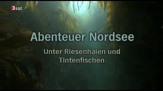 Abenteuer Nordsee  GERMAN DOKU [upl. by Inttirb151]