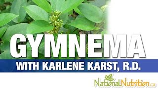 Gymnema Sylvestre  Professional Supplement Review  National Nutrition Canada [upl. by Nnahgem705]