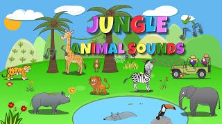 Jungle Animal Sounds [upl. by Laris]