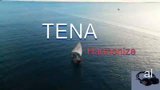 TENA Harmonize official Instrumental BEAT [upl. by Ennaisoj]