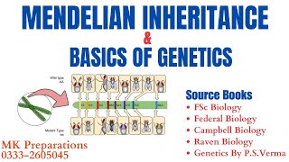 An Introduction Mendelian Genetics  Basics of Inheritance  Laws of Inheritance  FPSC amp PPSC Jobs [upl. by Goldarina158]