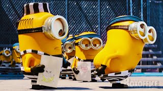 Meu Malvado Favorito Cenas mais engraçadas com Minions ⚡ 4K [upl. by Adnoval596]