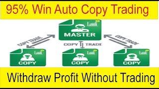 Best Forex Auto Copy System  Daily Withdraw Profit Without Trading Complete Tutorial In Urdu Hindi [upl. by Releyks]