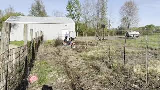 Tilling Up Garden With CRF110 [upl. by Aihseya]