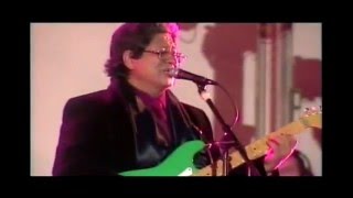 quotRECUERDOS DE UNA NOCHEquot SHOW EN VIVO LOS PASTELES VERDES  CANTA ALDO GUIBOVICH [upl. by Robina]