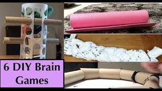 DIY Brain Games for Dogs Homemade food puzzle toys [upl. by Ennahoj533]