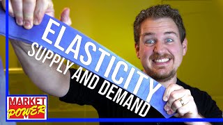 How To Understand Elasticity Economics [upl. by Cornelie328]