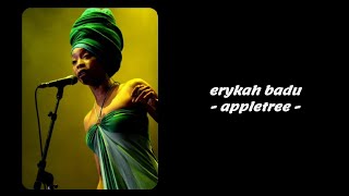 Erykah Badu  Appletree Lyrics [upl. by Lyrpa]