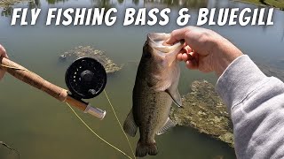 Fly Fishing For Bluegill and Bass On Spawning Beds How To Catch PanfishBass With A Fly Rod [upl. by Sadoff]