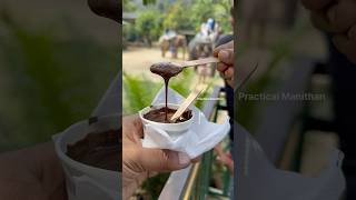 MustTry Melted Chocolate in Thekkady A Sweet Adventure [upl. by Aikit718]