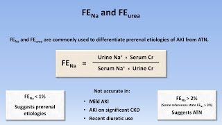 Acute Kidney Injury Part 23  Diagnostic Evaluation [upl. by Nevsa]