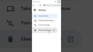 How to Delete Google Chrome History In PC or Laptop  2024 [upl. by Nirek]