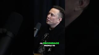 Elon Musk’s Advice for Young Leaders The Key to Expanding Your Horizons  Lex Fridman Podcast [upl. by Mehetabel]