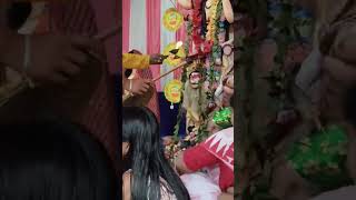 Hare Krishna Shubh Navami dashmi youtubelovevlogviralshortnavadwipনবদ্বীপindiancity🙏🙏🌹🌷 [upl. by Aniraad]