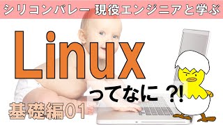 【Linuxエンジニアになる！】Linux OS ってなになに？ 初心者にもわかりやすいように解説。これから、エンジニアを目指す人、Linuxを勉強したい人へ Linuxの基礎０１ [upl. by Rozamond]