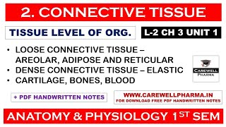 Connective Tissue  L2 Ch 3 Unit 1  Connective Tissue Anatomy And Physiology  Carewell Pharma [upl. by Ban]