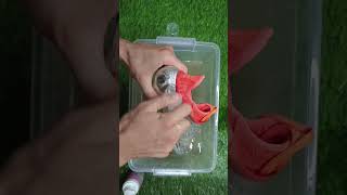 Best Cleats Boots Cleaning Video [upl. by Ilrebmyk902]