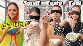 Smell Taste And Feel Challenge 😆 With Siblings [upl. by Einahteb438]