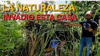 ESTA CASA LA NATURALEZA LA invadio  y de paso colamos un CAFE donde mi tía [upl. by Forelli]