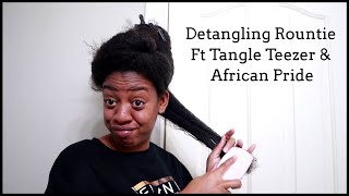 Detangle 6 Week Old Matted Natural Hair Ft Tangle Teezer Review [upl. by Thomasine]