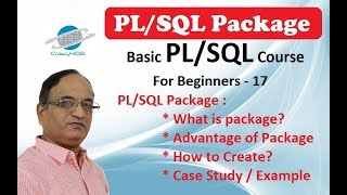 PL SQL Packages  Visit description for more info [upl. by Ellehcar]