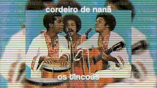 ｃｏｒｄｅｉｒｏ ｄｅ ｎａｎã － ｏｓ ｔｉｎｃｏãｓ  lofi remix [upl. by Ailb]