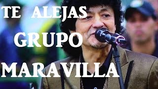 Te alejas  Grupo Maravilla ft Carlos Ramirez Audio HD Version Original [upl. by Nickey89]