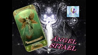 ÁNGEL SITAEL [upl. by Enerehs1]