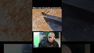 man cuts musquito proboscis shorts subscribe [upl. by Boggers925]