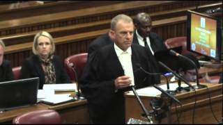 Pistorius Faces Tough Crossexam at Murder Trial [upl. by Oicaroh]