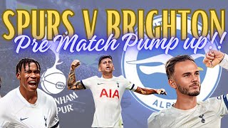 Spurs v Brighton Pre Match Pump Up [upl. by Otiragram]