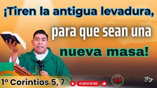 ✝️ Santa Misa Lunes 09 de septiembre del 2024  1° Corintios 5 7   Padre Efraín Mejía [upl. by Eelyah605]