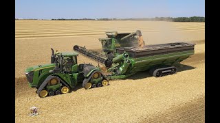 Wheat Harvest at Crossroad Farms in Indiana [upl. by Sculley]