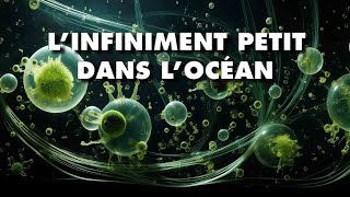 LINFINIMENT PETIT sous la surface des océans [upl. by Adnuhs]