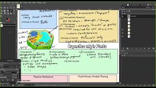 Biology  Module 4  Class Notes p 34 new [upl. by Pacificia74]