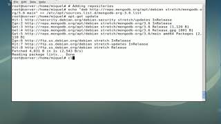 How to install MongoDB on Linux Debian Stretch [upl. by Doehne]