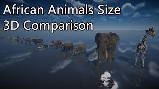 African Animals Size Comparison [upl. by Yolande]